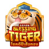 BLESSING TIGER